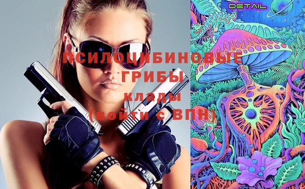 герыч Мегион