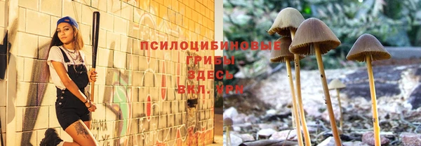 герыч Мегион