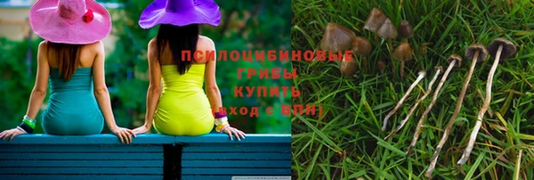 ешки Медвежьегорск